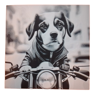 3D-Bild "Hund"