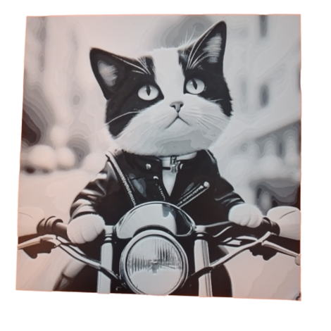 3D-Bild "Katze"