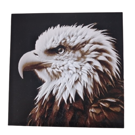 3D-Bild "Adler"