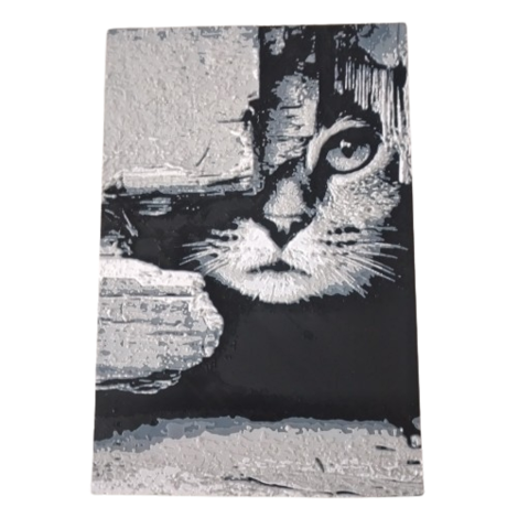 3D-Bild "Katze Mauerwerk"