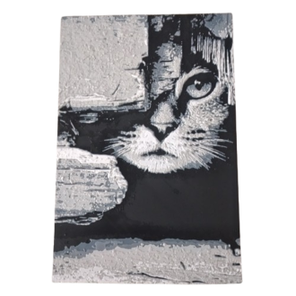3D-Bild "Katze Mauerwerk"