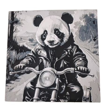 3D-Bild "Panda Motorrad"