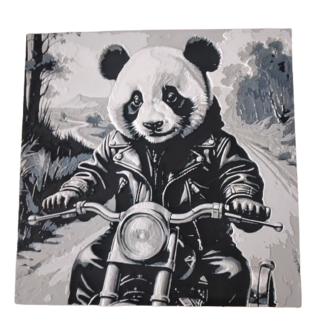 3D-Bild "Panda Motorrad"