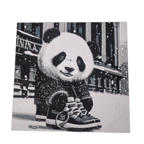3D-Bild "Panda Schuhe"