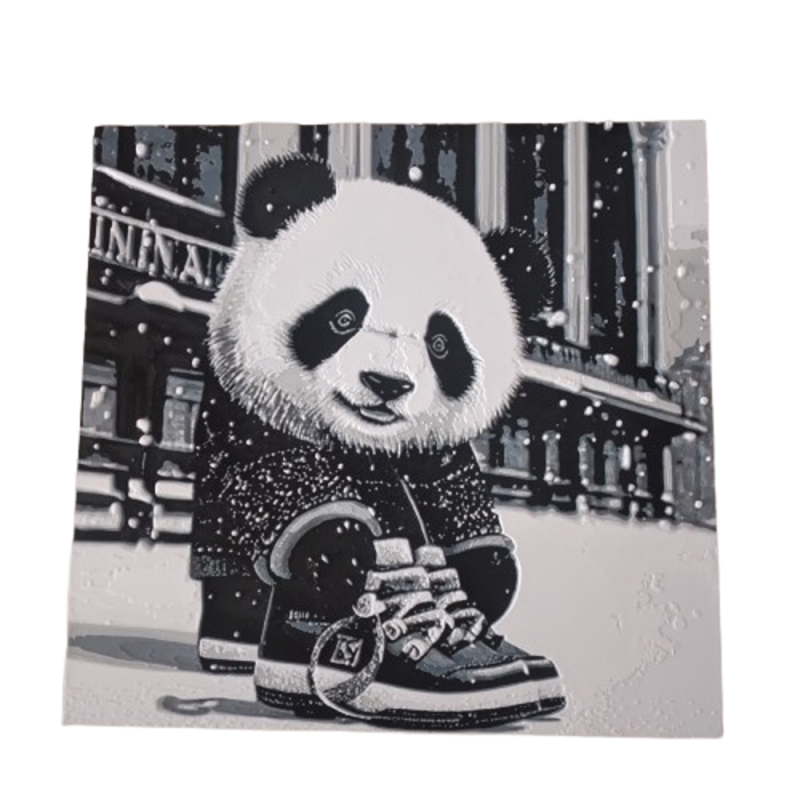 3D-Bild "Panda Schuhe"