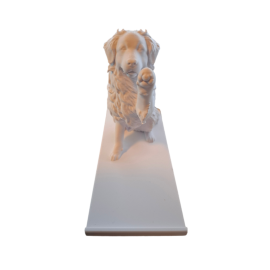 Handyhalter "Berner Sennenhund"